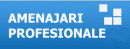 Firme Agentii imobiliare
